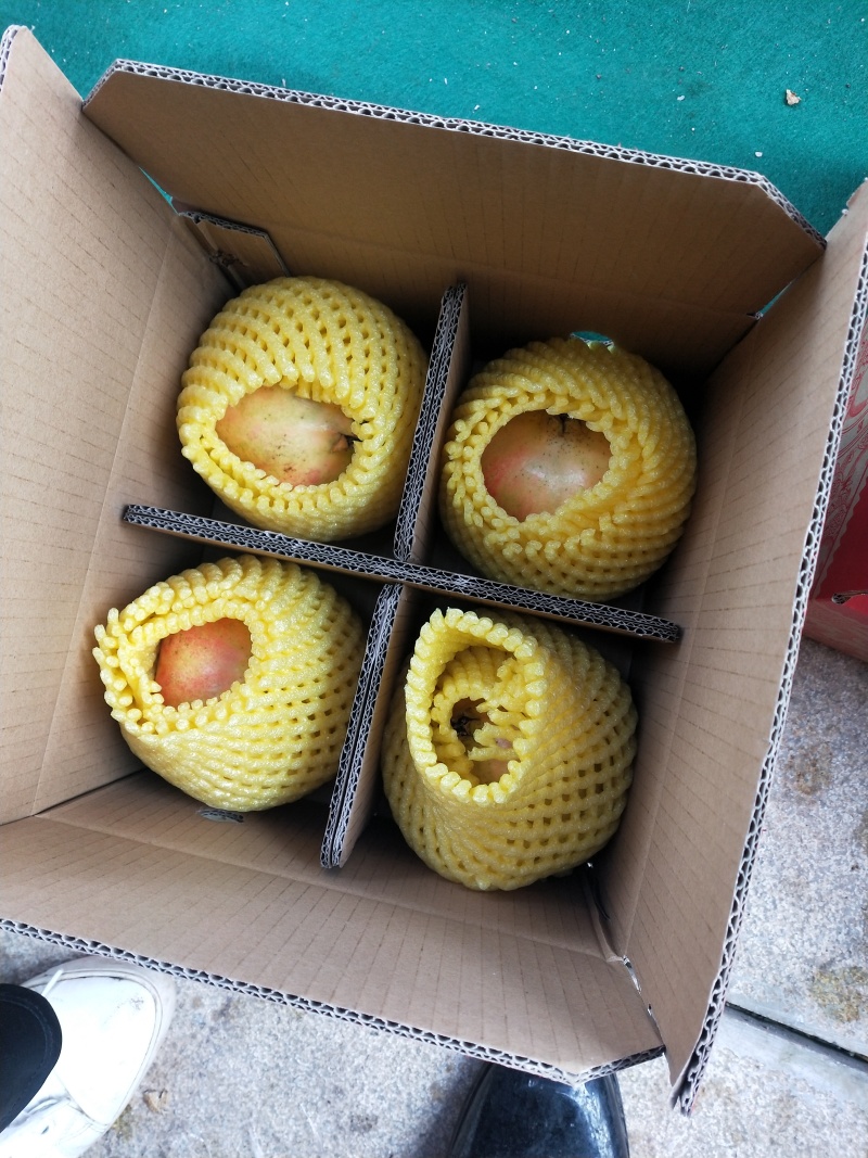 突尼斯软籽石榴