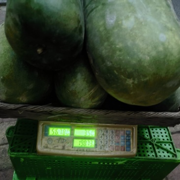 3万冬瓜，一串铃