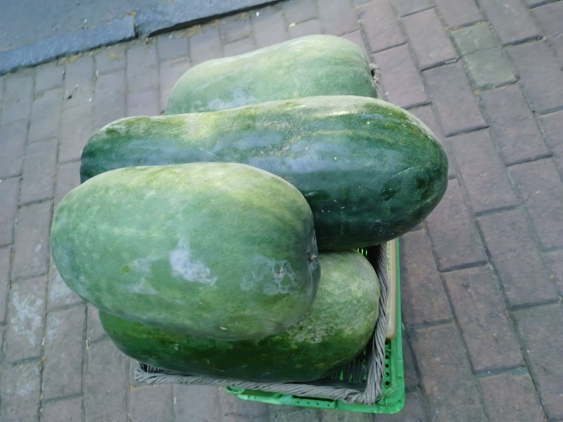 3万冬瓜，一串铃