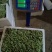 韭花豆，韭菜花韭花种植基地，可对接各大市场和电商平台