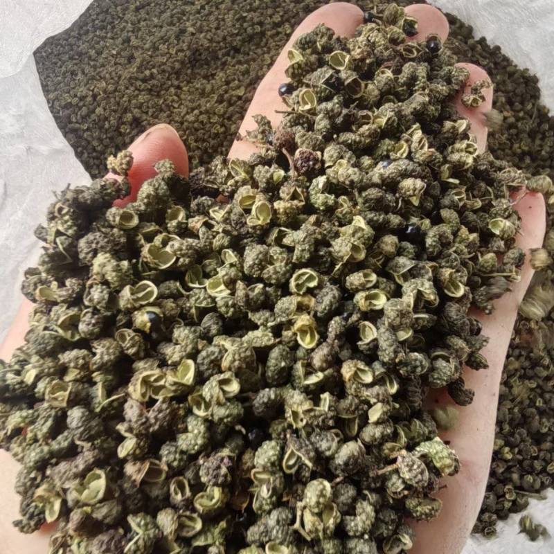 原产地金阳特级青麻椒全年供应量大价优货源充足品质保障