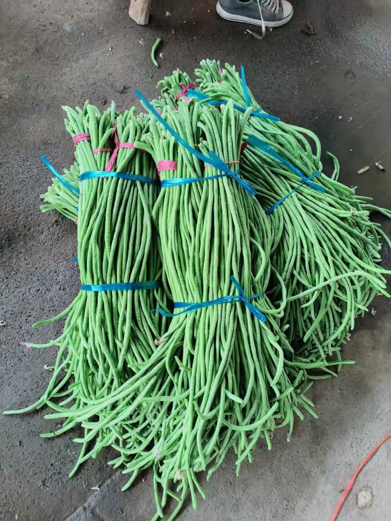 长豆角，大量供应各大电商平台，交通便利，欢迎来电