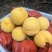 西润黄桃，果肉金黄如锦，香甜多汁似蜜，糖度15左右，可以