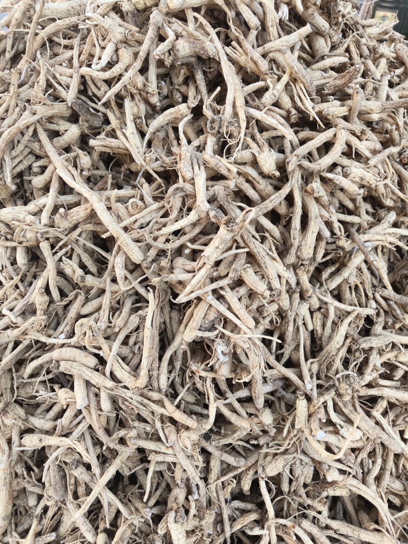 人参小颗人参人参投料白参正品生晒参