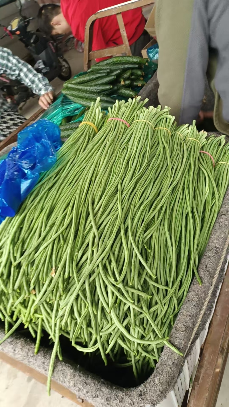 长豆角，大量供应各大电商平台，交通便利，欢迎来电