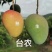 广西精品大台芒，整件带箱10斤，22个区域包邮。