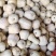 法系水果南瓜，口感脆甜。可以生吃。品质保证，代发全国
