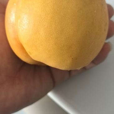 黄局油