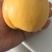 黄局油