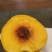 大家好正宗锦绣晚熟黄桃上市了