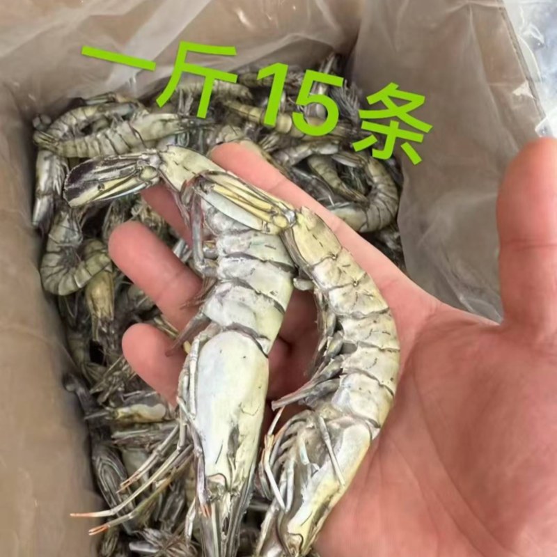 黑虎虾
