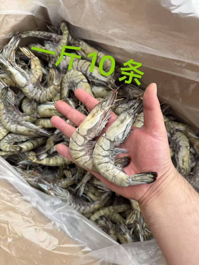 黑虎虾