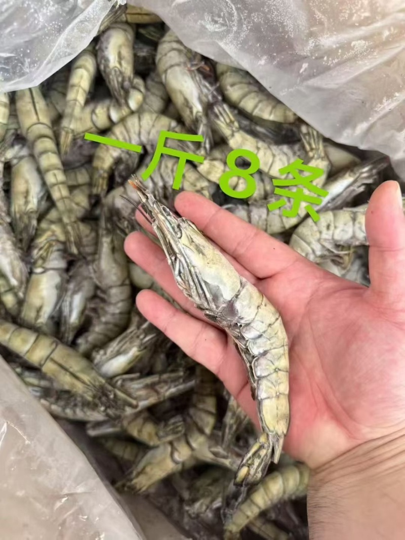 黑虎虾
