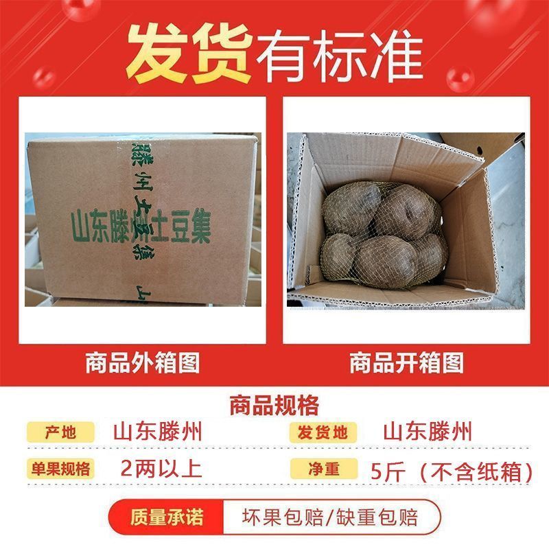 黑土豆净重5斤山东黑金刚黑美人中大果新鲜紫土豆火锅食
