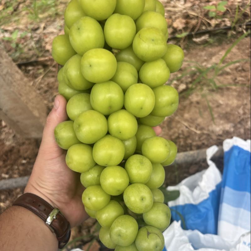 靓货来的！