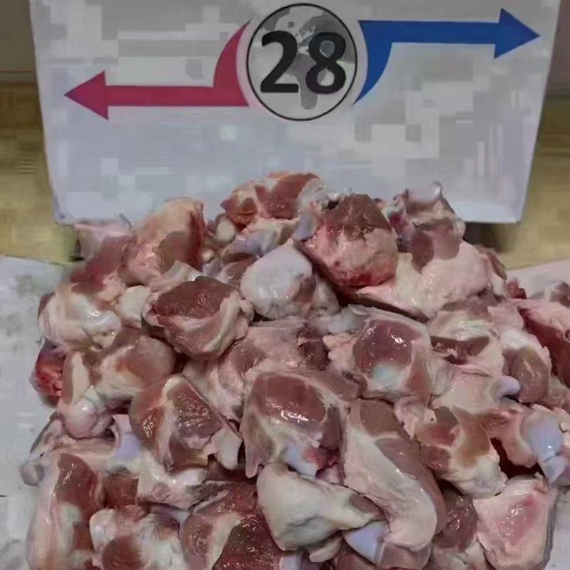 28猪关节骨