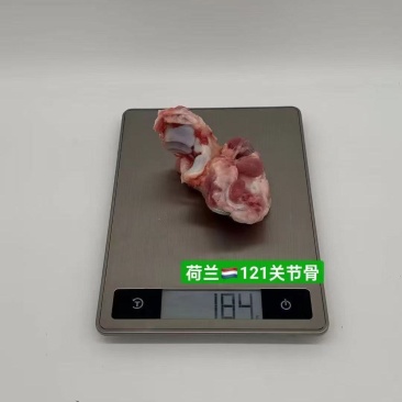 121猪关节骨