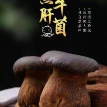 黑牛肝菌【牛夫人牌菌子】牛肝菌诚信经营，客户至上！