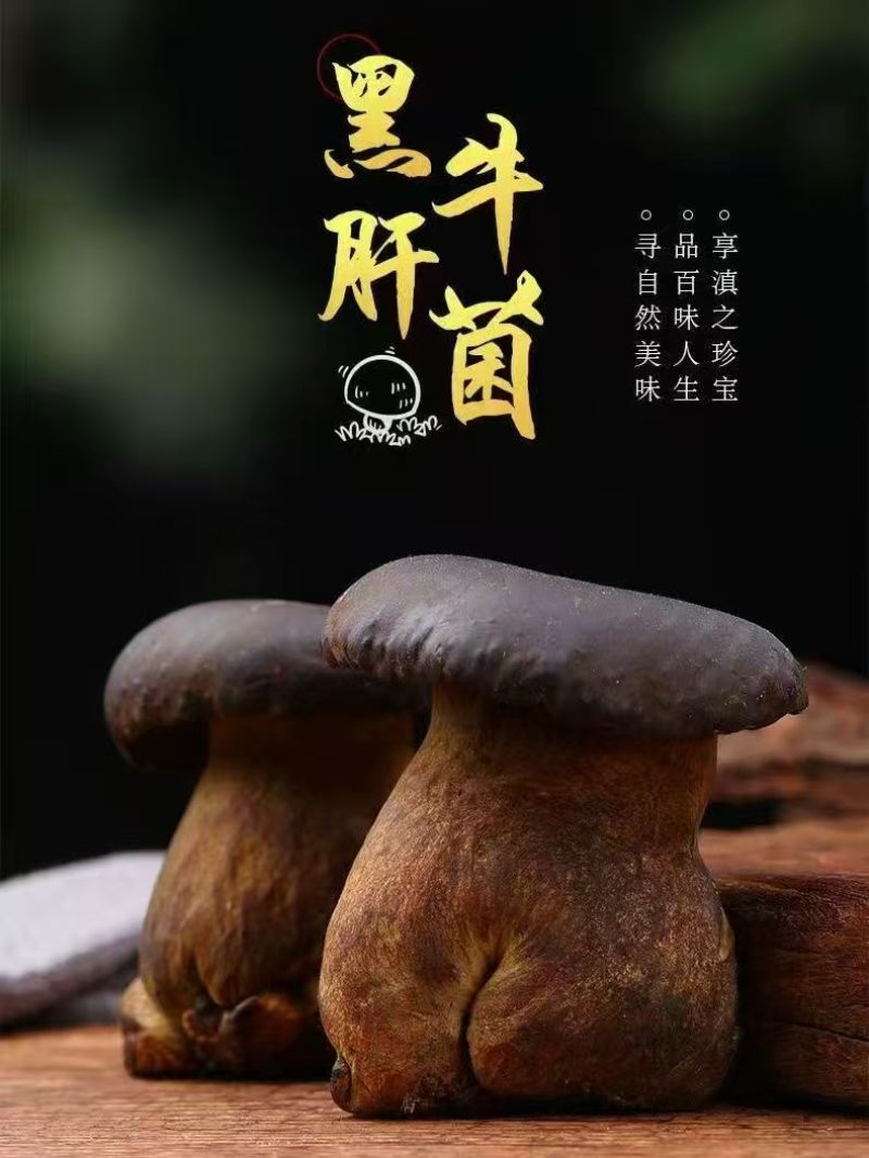 黑牛肝菌【牛夫人牌菌子】牛肝菌诚信经营，客户至上！