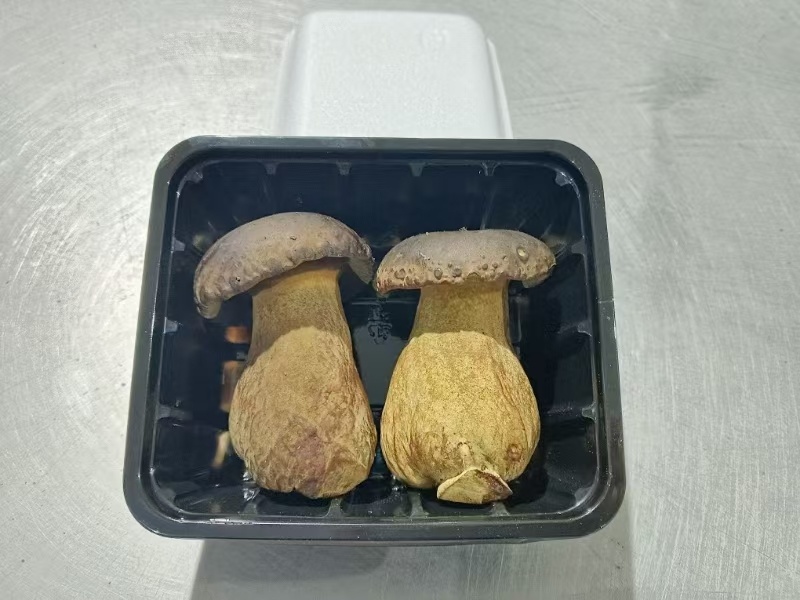 黑牛肝菌【牛夫人牌菌子】牛肝菌诚信经营，客户至上！