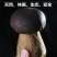 黑牛肝菌【牛夫人牌菌子】牛肝菌诚信经营，客户至上！