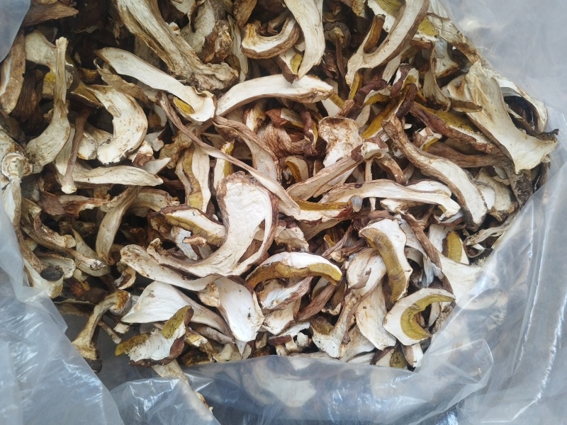甘肃陇南牛肝菌新货上市一手货源欢迎各位老板进店咨询