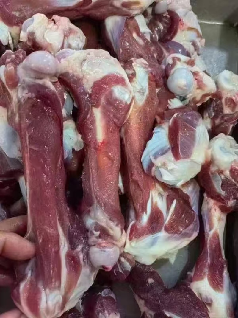 【羊棒骨】绵羊的带肉棒骨！新鲜速冻货源稳定！量大优惠