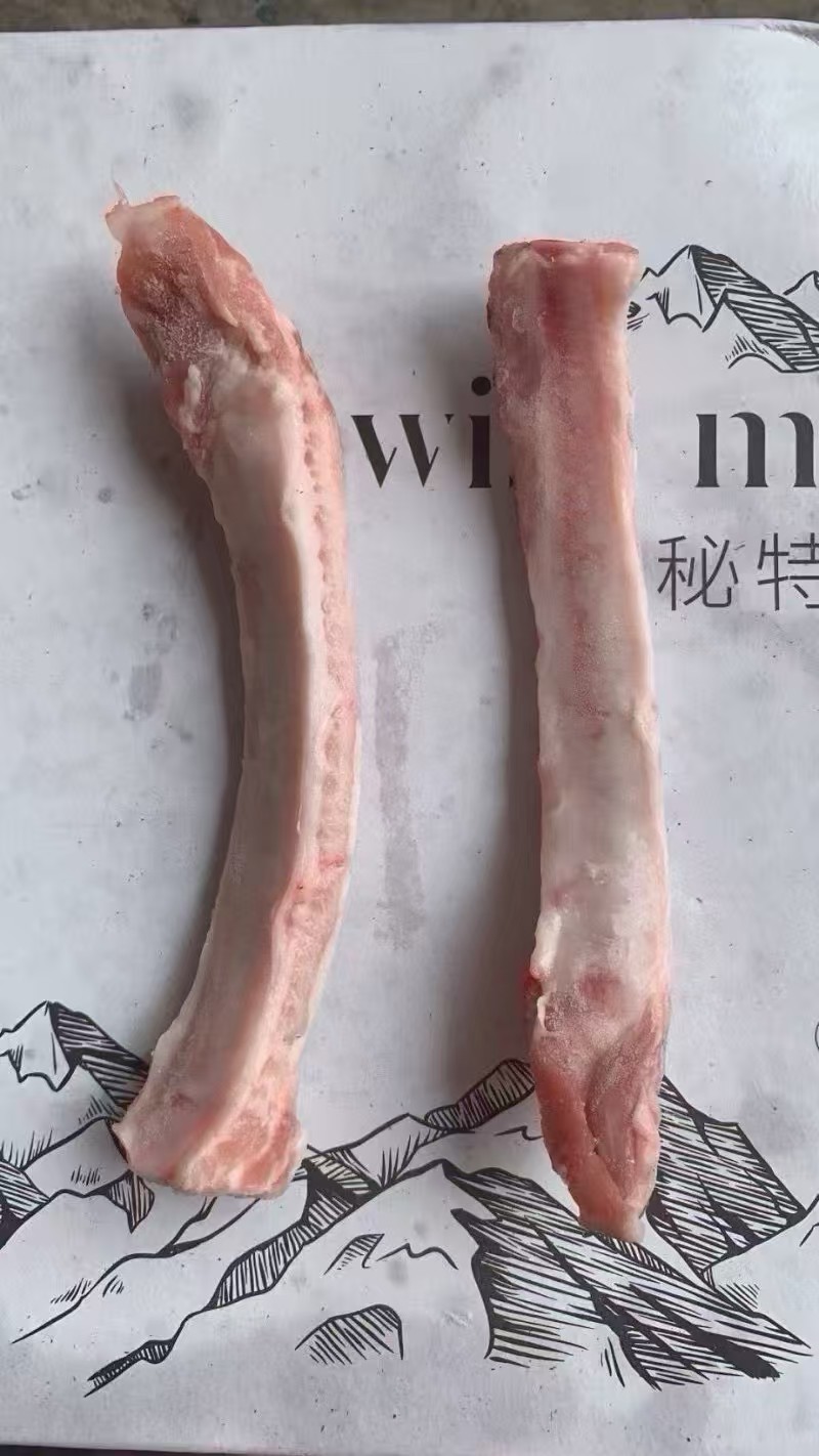 5091肋排条