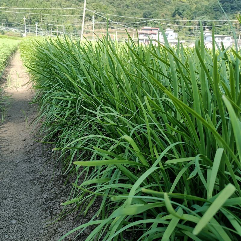 贵州产地直发，精品，泡沫箱，定制发货