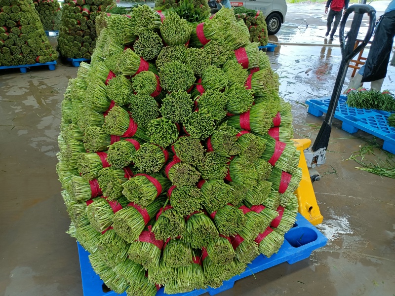 贵州产地直发，精品，泡沫箱，定制发货