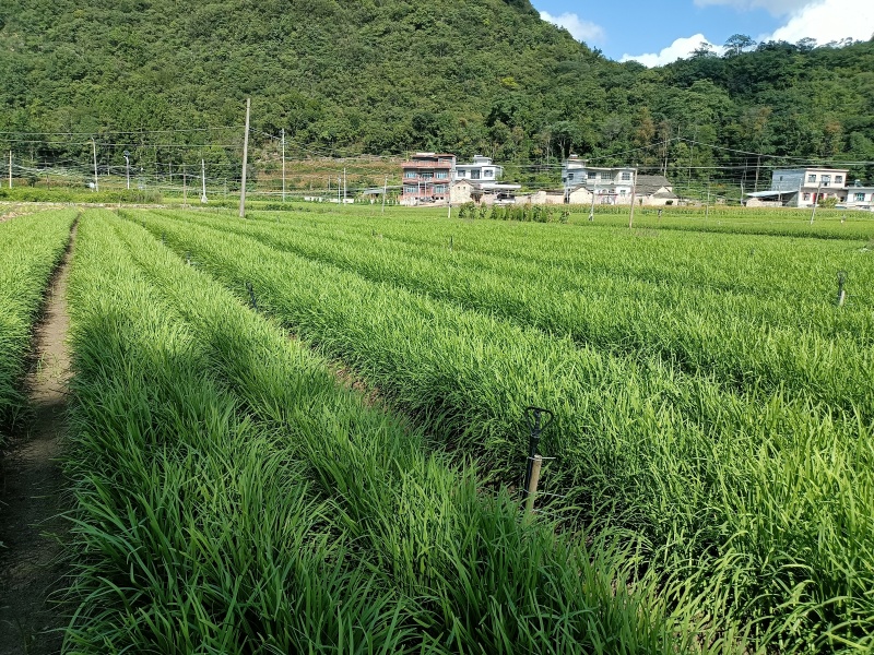 贵州产地直发，精品，泡沫箱，定制发货