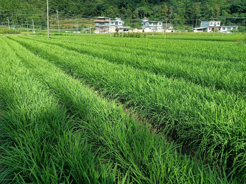 贵州产地直发，精品，泡沫箱，定制发货
