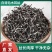 白背毛木耳丝