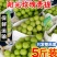 阳光玫瑰，对接各大电商平台，美团~多多仓~大型商超代发