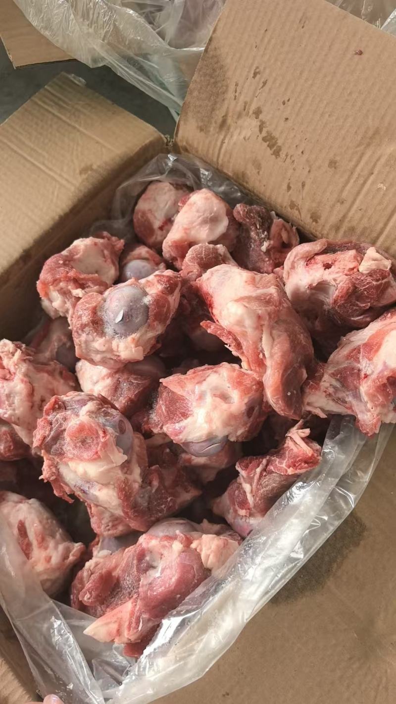 猪满肉棒骨