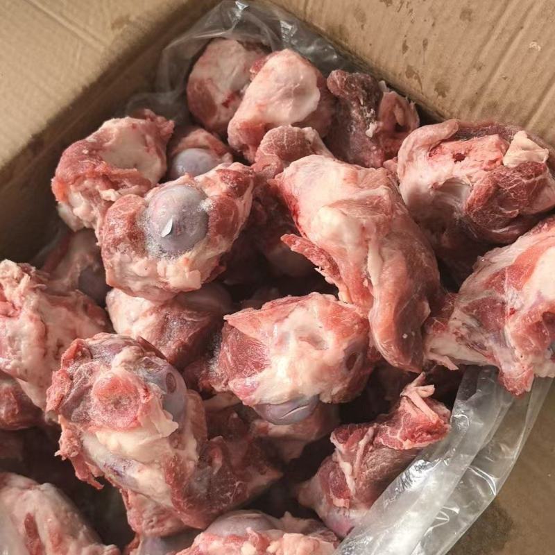 猪满肉棒骨