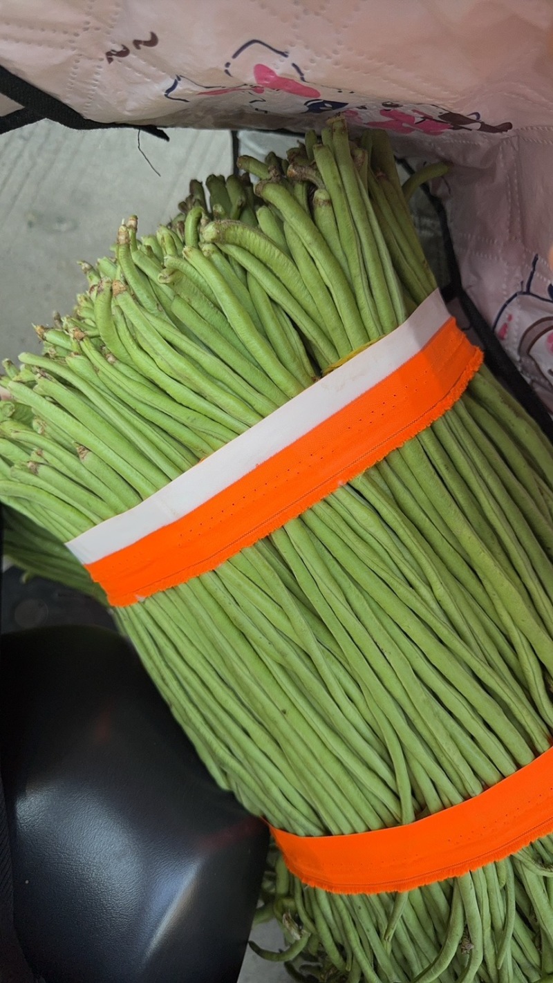 山东青条豆角，产地直发，物美价廉，产地直发