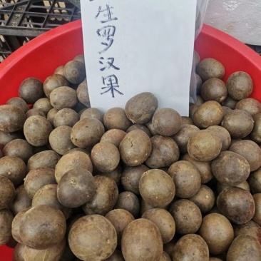 罗汉果深山小野果配胖大海金银花润喉泡茶(单果5~15）