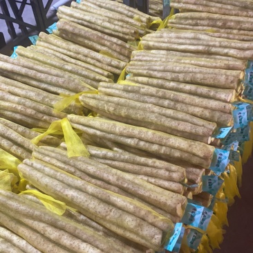 精品网兜