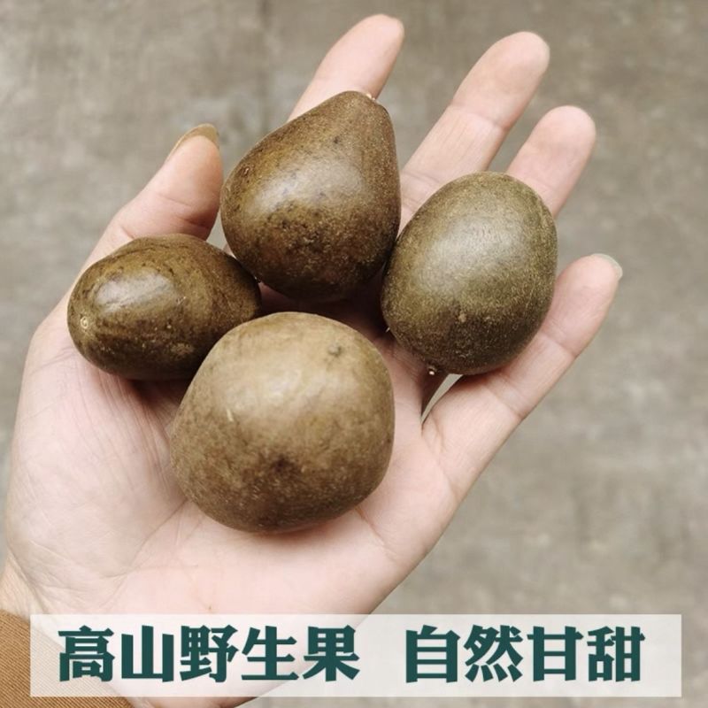 罗汉果深山小野果配胖大海金银花润喉泡茶(单果5~15）