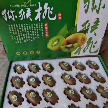 陕西眉县徐香猕猴桃