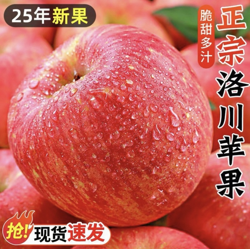 早熟红富士，质量保障，规格齐全，全国包邮