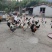 本厂有鹊山鸡出壳苗农家散养鸡健康好养防疫到位。