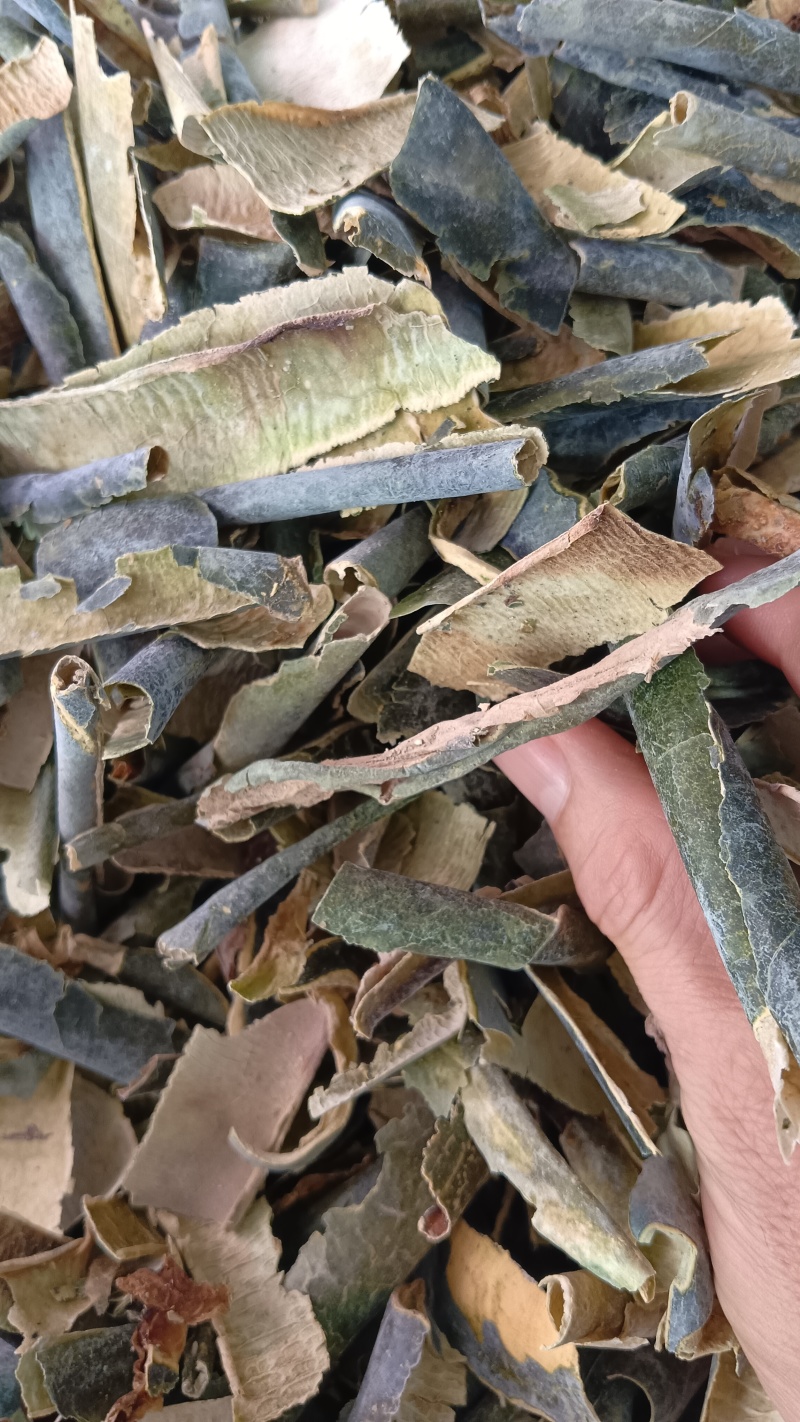 冬瓜皮（中药材），品质保证，欢迎老板来电洽谈