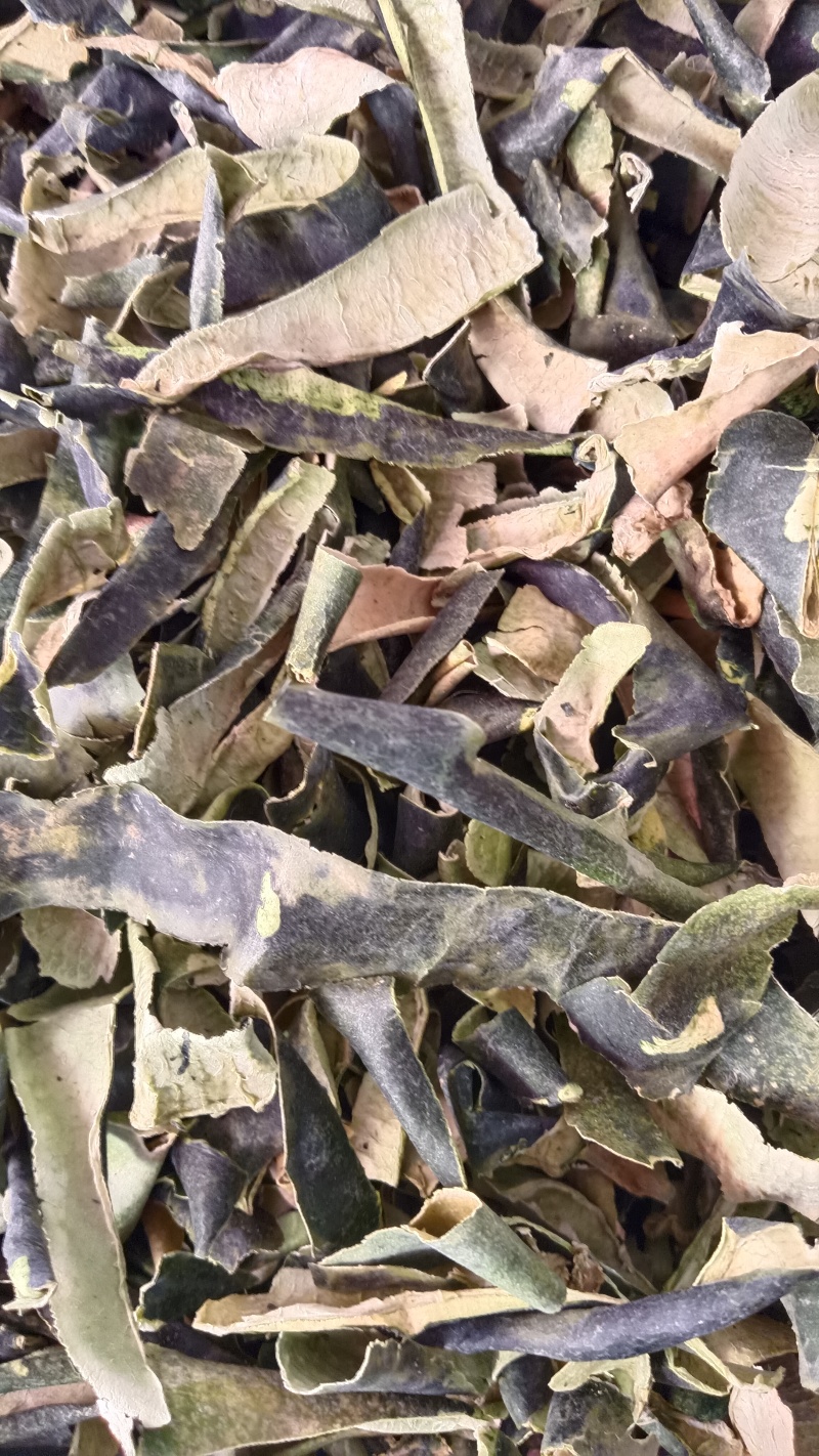 冬瓜皮（中药材），品质保证，欢迎老板来电洽谈