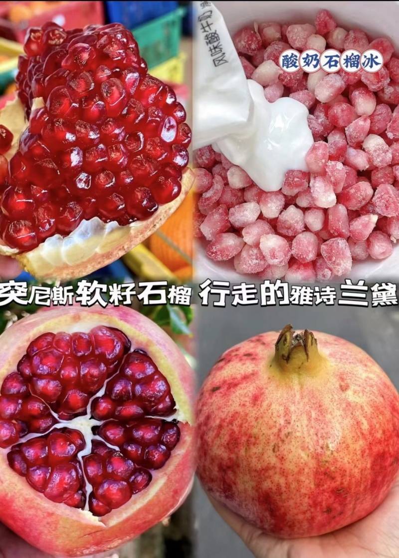 【量大优惠】大凉山会理软籽石榴品质保障对接全国批发