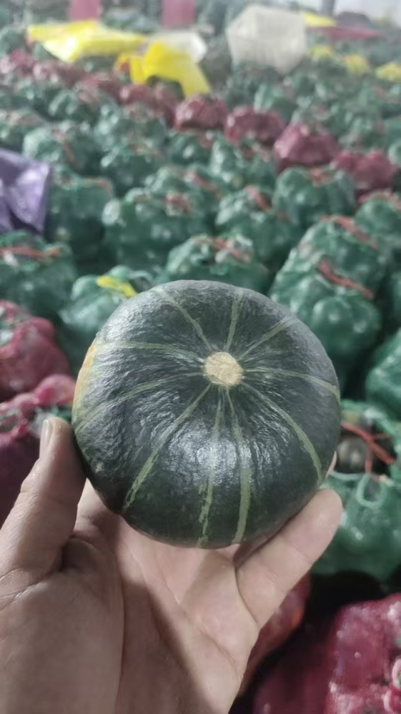 【视频看货】贝贝南瓜对接电商批发市场一手货源