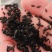 高含量柔毛淫羊藿