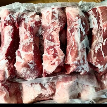 多肉筒骨