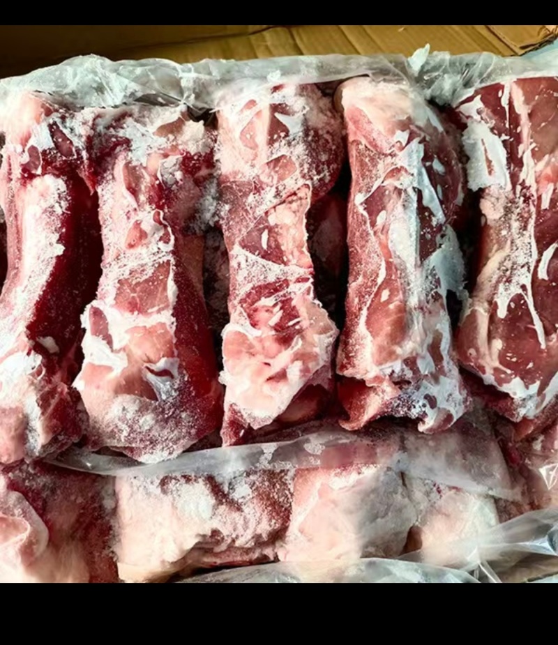 多肉筒骨